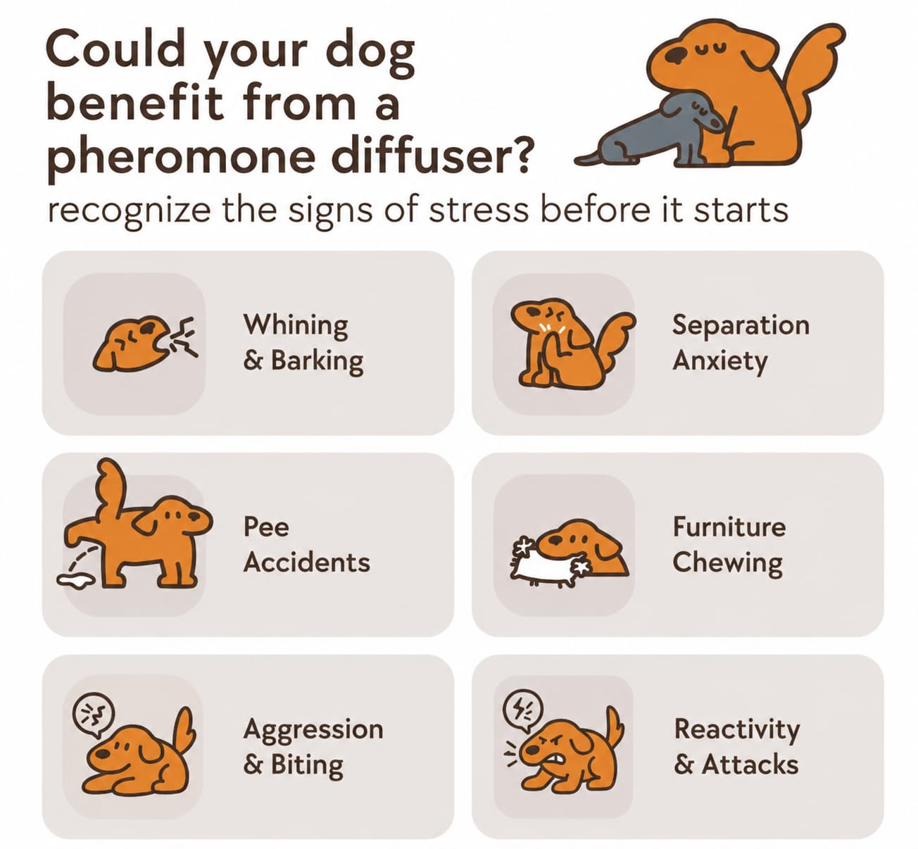 Dog Calming Diffuser Kit