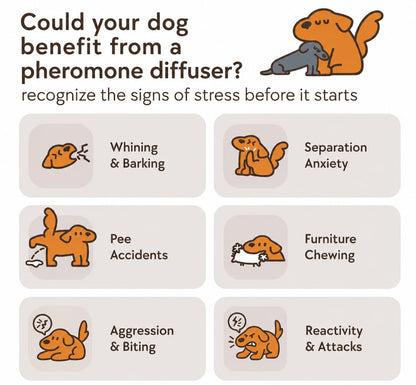 Dog Calming Diffuser Kit